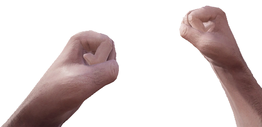 Fists Image